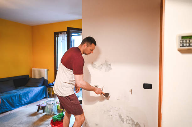 Best Basement Mold Remediation in Estero, FL